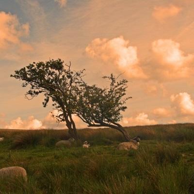 中欧体育app下载官网